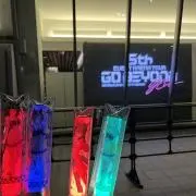 ちむの画像