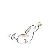 かぁ