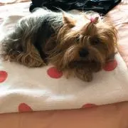 kkkの画像
