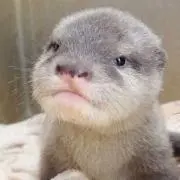 ミキティ(o^^o)