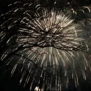 イニ