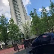 SYの画像
