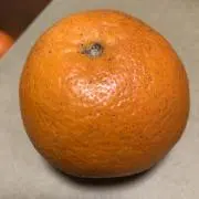 ◎断捨離中 みかん◎の画像
