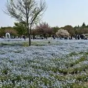 うにの画像