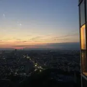 いぬの画像