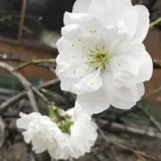 りゅういちママ
