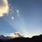 ココア