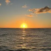 big kahunaの画像