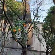 たいみんぐの画像