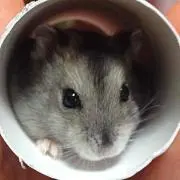 つるちか▷まとめ購入割引致しますの画像