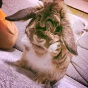 かずきち