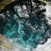 Hanako  毎日発送の画像