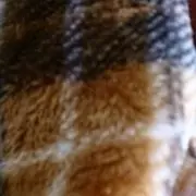 ふわりん