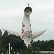COGの画像