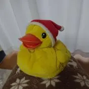 yachiの画像
