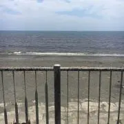 タミフル