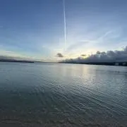 ケンゾーXの画像