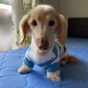 RENの画像