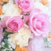 ✨MEGU✨価格交渉受付中❣️即日発送