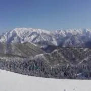 ラッキー