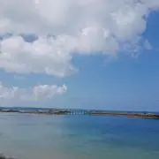 ちさの画像