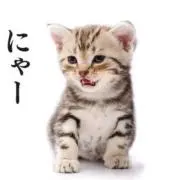 サスケママ