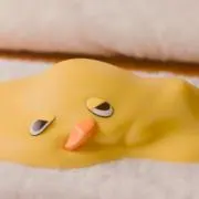 ★ひよ★｛毎日発送｝の画像