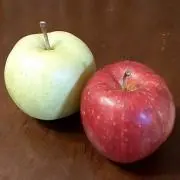 トミアの画像