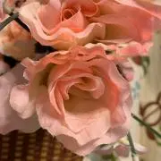 彩