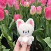 ぱんの画像