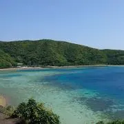 roaの画像