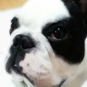 おぴち