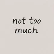 not too muchの画像