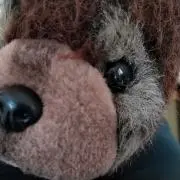 たろじろの画像