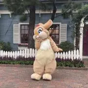 にゃんこの画像