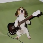 にしの画像