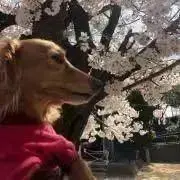 Mintmeiの画像
