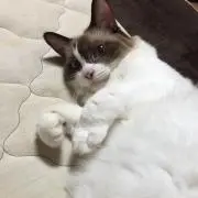 ましろ
