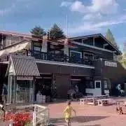 ハチの画像
