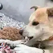 (◍˃̶ᗜ˂̶◍)ノ"ぉ取引ぁりがとう❤