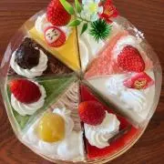 ノコギリヤシ（プロフ必読）の画像