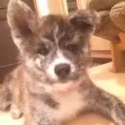 MICHIの画像