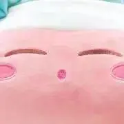 soyaの画像
