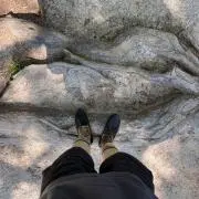 WNKの画像