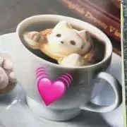 ka いいものの画像