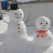 ゆきんこの画像