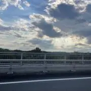 玉ねぎの画像