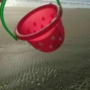 おもちこの画像