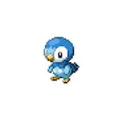 ペンギン