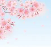 naの画像